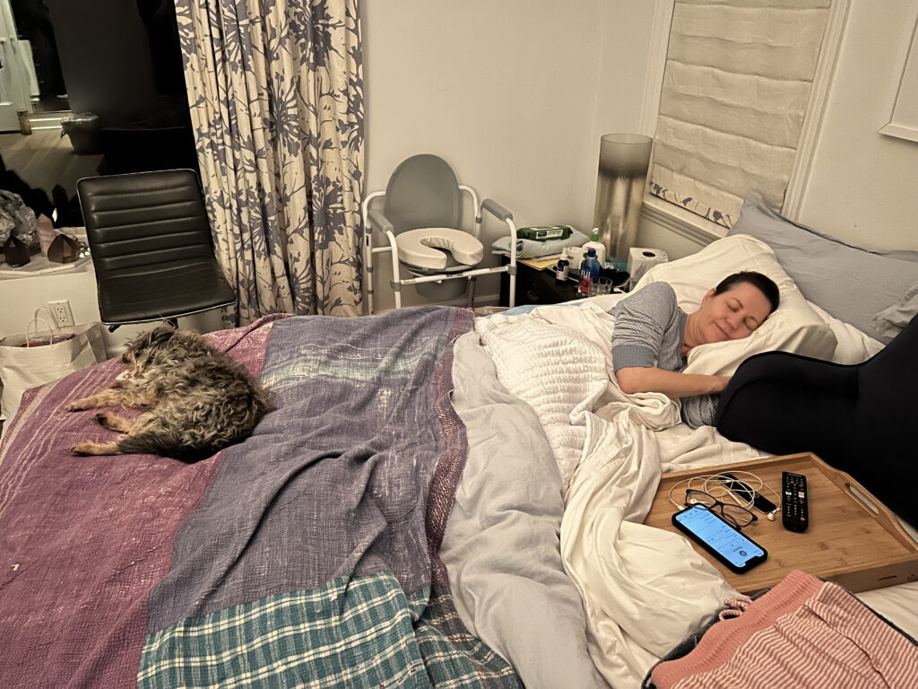 Back home with Teddy